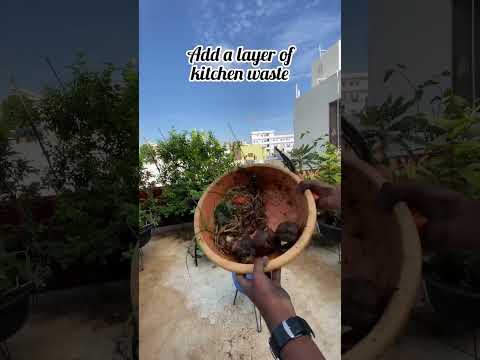 How to do composting 🪴🫶