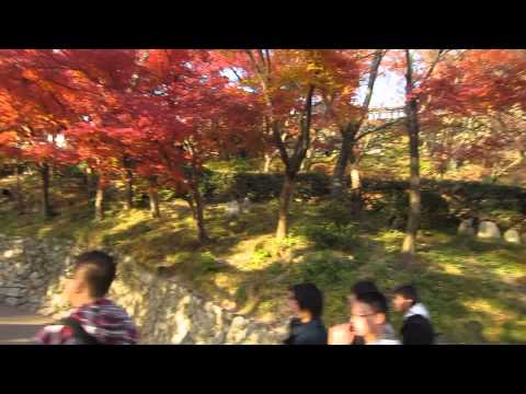 2013.12.3　京都清水寺の紅葉　午後３時４２分頃