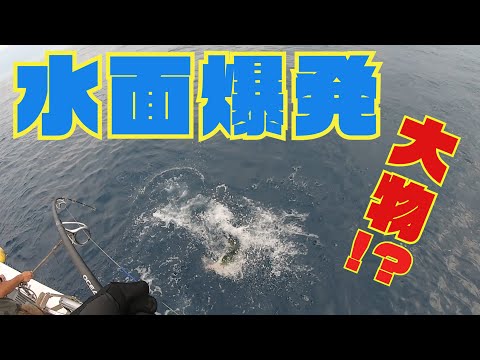 【マグロキャスティング】水面を爆発させたのは、、、！？【PART1】