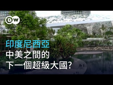 印度尼西亞 中美夾縫之中的下一個超級大國？| DW獨家視角