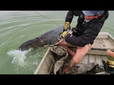 The BIGGEST CATFISH I'VE EVER SEEN!!! (Way over 100 lbs)