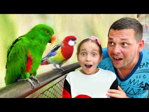 Fun stories for children about animals in Park Zoo