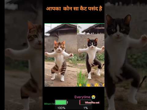 Dance Billi do Billi ek sath mein video #short video viral #music #Billi  Delhi short #bholenath