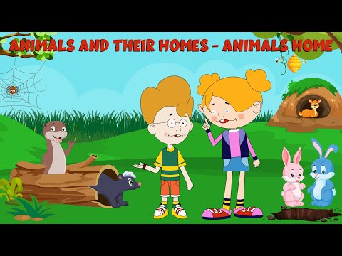 Animals and their homes | Animals home | Video for Kids | Learning Junction