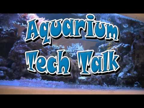 DC Water Pumps, LA Fishguys Tech Talk Episode 152, part 2