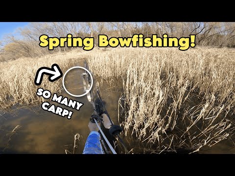 Springtime Bowfishing!