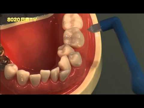 8020日歯TV 基本的な歯の磨き方＜5＞歯周病対策！補助器具の使い方