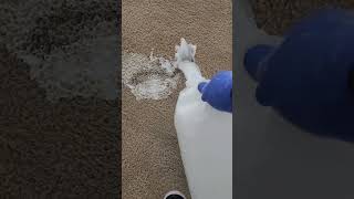 Sub-surface Pet Urine Odor and Stain Removal Treatment