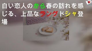 白い恋人のISHIYAから 春の訪れを感じる、上品なラングドシャ登場