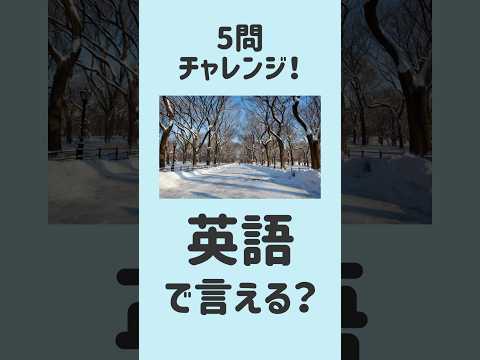 【これ全部英語で言える？】5問英会話｜寒い冬1～5 #MimiListening #英語リスニング #英語聞き流し