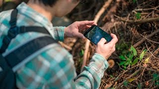 自然調査のデジタル化で、より価値の高い自然体験を  |  Digitize wildlife recording for better nature experiences