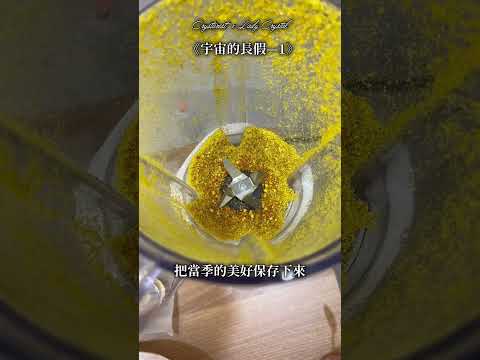 自由工作者｜我躺平了/宇宙的長假