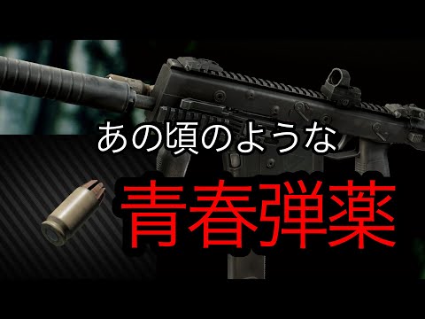 【タルコフ】遠い青春の最強弾薬を握り金欠解消するずんだもんの実況動画/.45ACP RIP