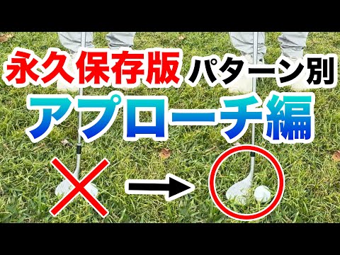 【小さな動きで大きな変化！】さぁ芝が伸びてきました！