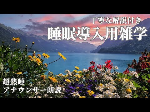 【睡眠導入雑学】【アナウンサーが読む】【山形蔵王】新チャンネルの告知