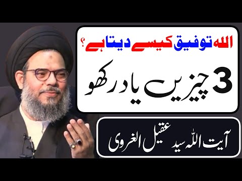 Allah Tofiq Kese Deta Hai | Ayatullah Syed Aqeel Ul Gharavi 2024