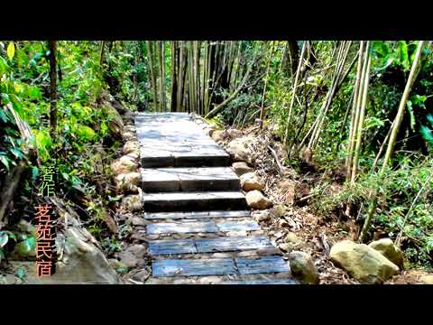 阿里山公路沿線-樂野村-{迷糊步道}   茗苑民宿~著作