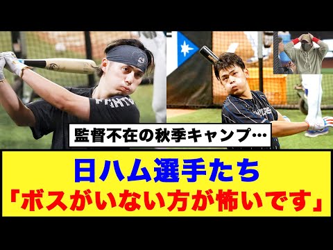 【アップデート中】監督不在の秋季キャンプ…日ハム選手たちは「ボスがいない方が怖いです」