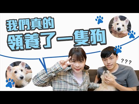 【惡整男友最終章】夢想成真，這次真的領養一隻狗！❤︎古娃娃WawaKu