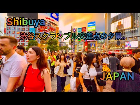 [4K] Shibuya Walking Tour. Shibuya Crossing evening View. Tokyo, Japan .