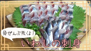 イワシの小骨を全部抜いて刺身にしてみた【簡単な捌き方】