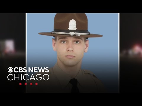 Driver hits, kills Illinois state trooper southwest of Chicago