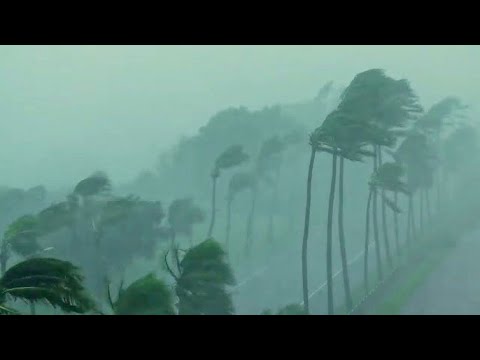 Cyclone Hidaya are predicted to impact Kenya's coastal region.