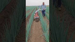 Agriculture Farming #farming #newtechnologyideas #agriculturelife.