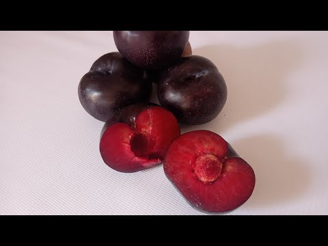 Cutting Imported Plum Fruit || Aloo Bukhara | My Little Habits