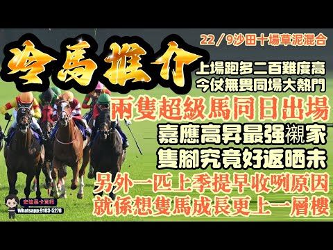 冷馬推介,上場跑多二百難度高,今仗無畏同場大熱門.22/9沙田十場草泥混合.兩隻超級馬同日出場,嘉應高昇最強襯家隻腳究竟好返晒未.另外一匹上季提早收咧原因就係想隻馬成長更上一層樓.