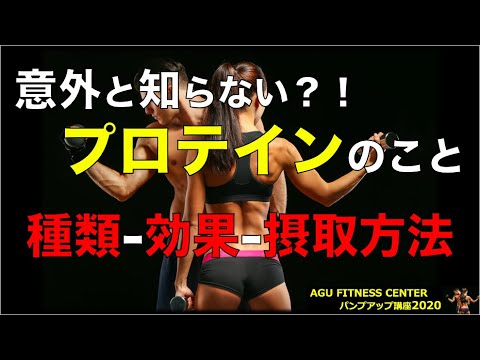 プロテインの基礎知識【パンプアップ講座：講義編①】