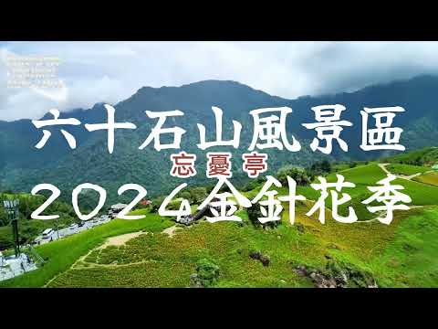 OneRepublic – Someday丨花蓮丨六十石山丨忘憂亭丨2024金針花季丨空拍丨Mini 3 Pro