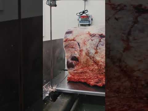 Breaking down an entire Beef Chuck! 🔪🥩 #shorts