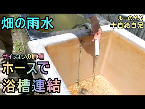 【畑の雨水 ３浴槽の連結】サイフォンの原理で連結 半自給自足