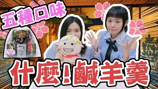 【開箱試吃】鹹的羊羹！美味嗎? 五種口味 羊羹 甜涼粉 菓子點心 Japan ようかん | 可可酒精