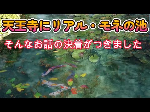 慶拓園　モネの池計画  完結　あべのハルカス てんしば