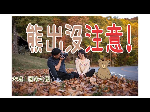 我們遇到熊了! 看了會感動的日出 | 世界文化遺產美國大煙山國家公園