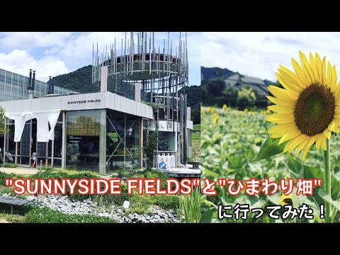 "SUNNYSIDE FIELDE"と"ひまわり畑"に行ってみた！【56のりのり】