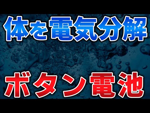 ゆっくり毒物特別編　ボタン電池【ゆっくり解説】