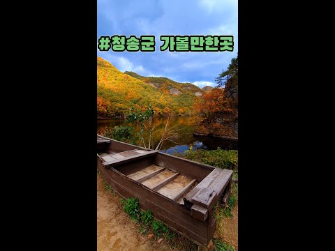 청송 여행 /청송군 가볼만한곳 / 가을 추천 여행지 /11월에 가볼만한곳 /경북 추천 여행지/ 주왕산 국립공원 /용추협곡 #shorts