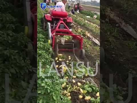 Greenhouse tractor narrow tractor with potato harvester