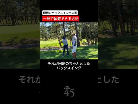 バックスイングの理想形をわかりやすく体感できる方法 #片山晋呉 #golf #ゴルフ #shorts