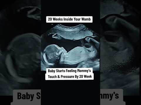 Baby Starts Feeling Mommy's Touch & Pressure By 20 Week#babyultrasound#baby #pregnancyscan