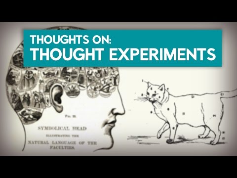 Thoughts about Thought Experiments