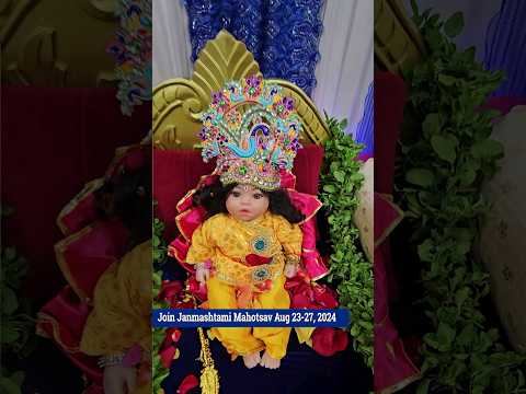 Experience the Joy of Janmashtami with Swami Mukundananda at Radha Krishna Temple of Dallas #shorts