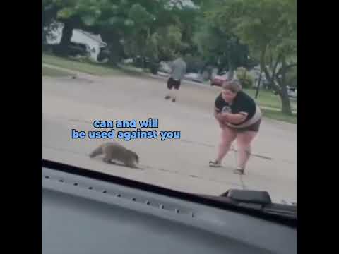 Raccoon vs Lady