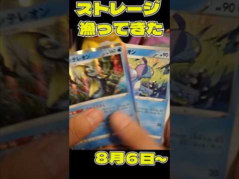 ストレージ漁ってきた!!!!8月6日〜#pemoncards #ポケカ #ポケモン #ポケモンカード #pokemontcg #pokemon