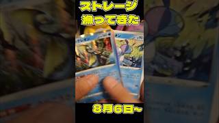 ストレージ漁ってきた!!!!8月6日〜#pemoncards #ポケカ #ポケモン #ポケモンカード #pokemontcg #pokemon