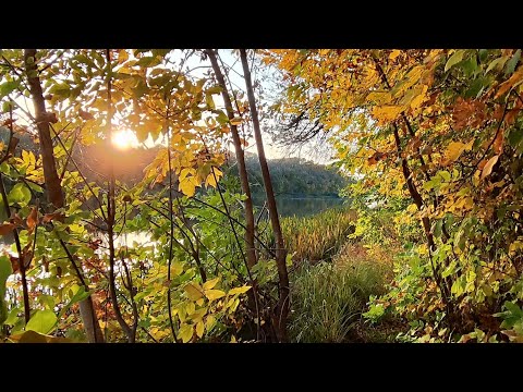 «ВАЛЬС БОСТОН» Автор песни Александр Розембаум. #cover