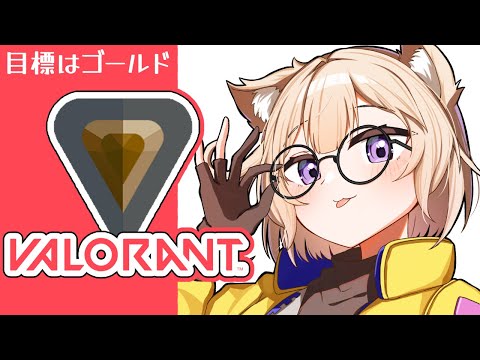 【VALO】いつもの騒音ヴァロ。少し久々！【夜絆ニウ / NeoPorte (ネオポルテ) 】